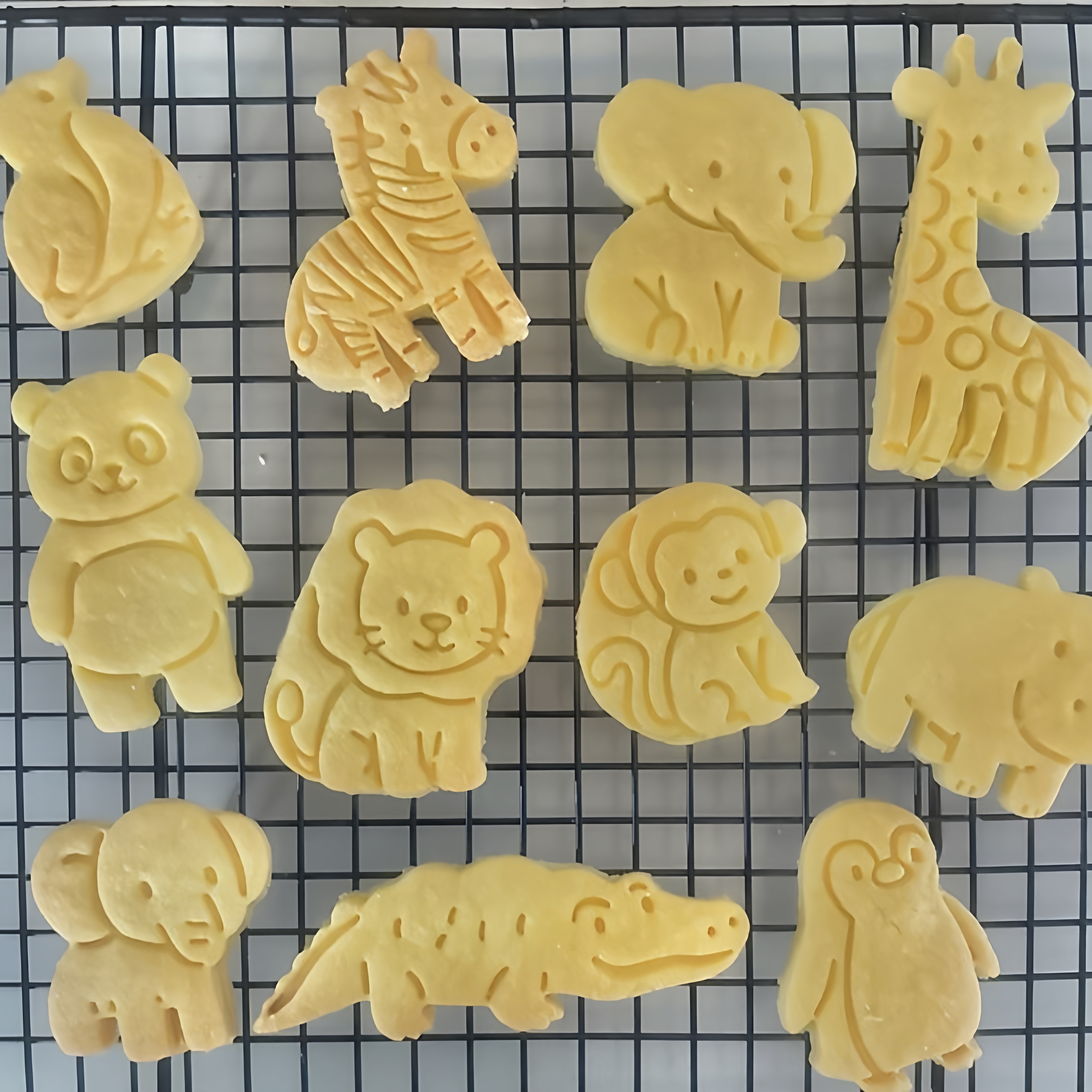 Cartoon Animal Biscuit Cutter  - Baking Kitchen For Kids recensie en prijs